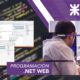 Programación .NET Web